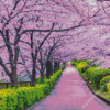 Spring Japan Cherry Blossom Garden Diamond Painting