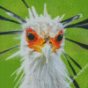 The Secretarybird Close Up Diamond Painting