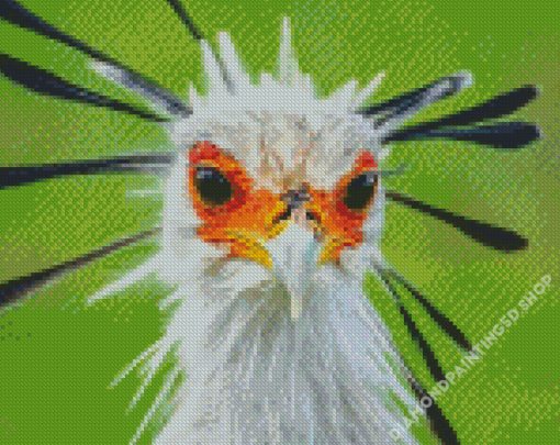 The Secretarybird Close Up Diamond Painting