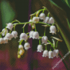 White Lily Of The Valleys Diamond Painting