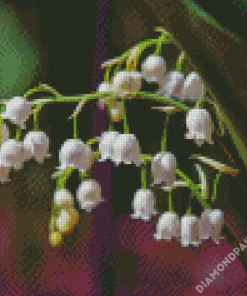 White Lily Of The Valleys Diamond Painting