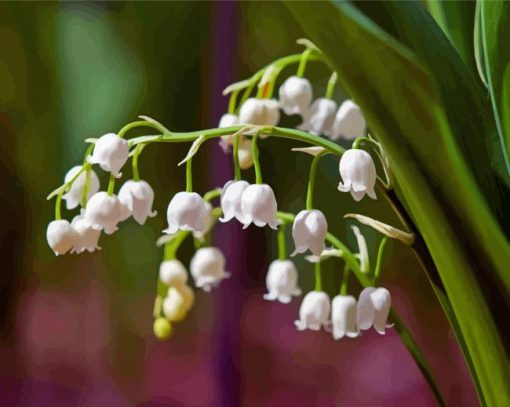 White Lily Of The Valleys Diamond Painting