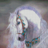 White Horses Fantasy Diamond Painting
