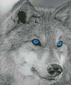 Winter White Wolves With Blue Eyes Diamond Painting