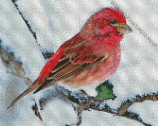 Winter Purple Finch Diamond Painting