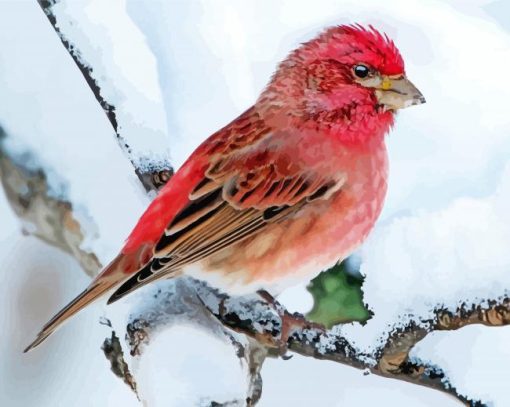 Winter Purple Finch Diamond Painting