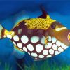 Yellow Clown Triggerfish Diamond Painting