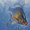 Aesthetic Crappie Diamond Painting