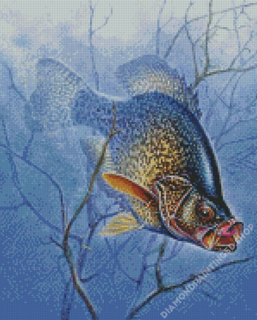 Aesthetic Crappie Diamond Painting