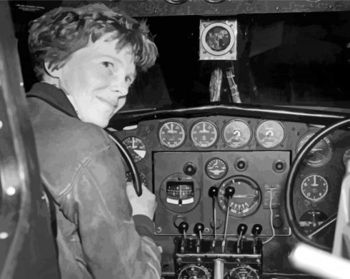 Amelia Earhart In The Plane Diamond Painting