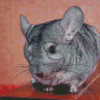 Chinchilla On Table Diamond Painting