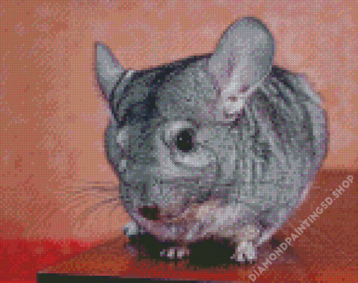 Chinchilla On Table Diamond Painting