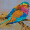 Colorful Lilac Breasted Bird Diamond Painting