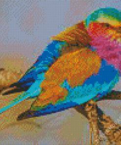Colorful Lilac Breasted Bird Diamond Painting