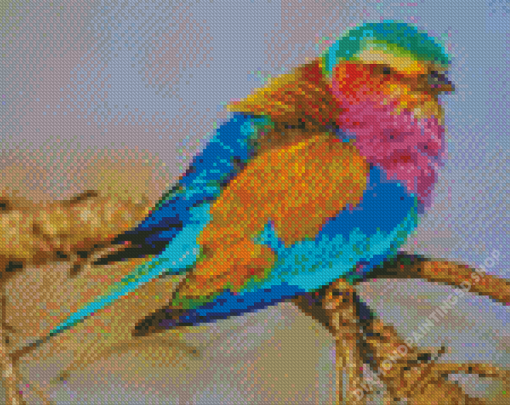 Colorful Lilac Breasted Bird Diamond Painting