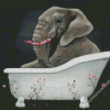 Elephant In Bathtub Diamond Painting