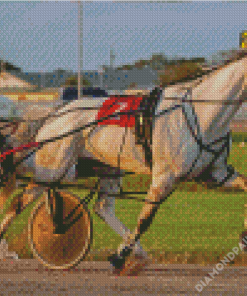 Harness Racing Diamond Painting