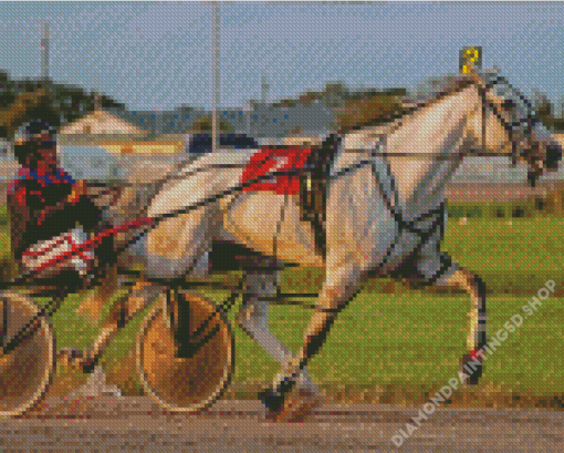 Harness Racing Diamond Painting