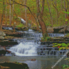 Heber Springs Forest Diamond Painting