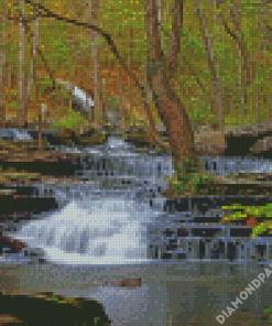 Heber Springs Forest Diamond Painting