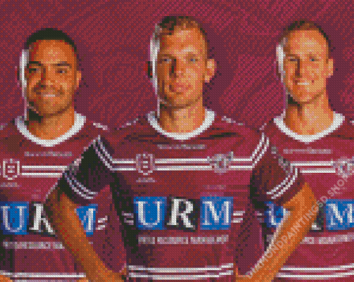 Manly Warringah Sea Eagles Players Diamond Painting