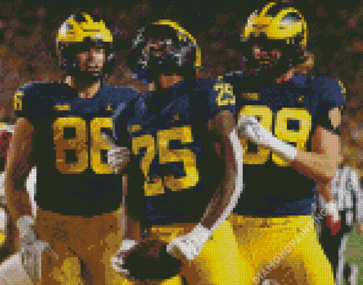 Michigan Wolverines Diamond Painting