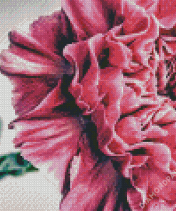 Pink Carnation Rose Diamond Painting