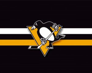 Pittsburgh Penguins Diamond Painting