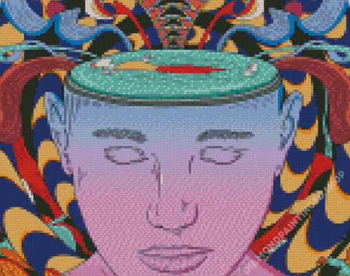 Psychedelic Illustration Diamond Painting