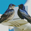 Purple Martin Birds Diamond Painting