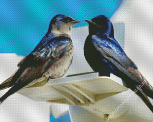 Purple Martin Birds Diamond Painting