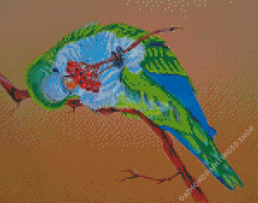 Quaker Parrot Bird Art Diamond Painting