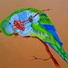 Quaker Parrot Bird Art Diamond Painting