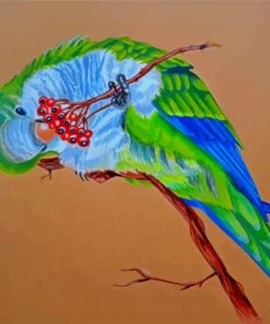 Quaker Parrot Bird Art Diamond Painting