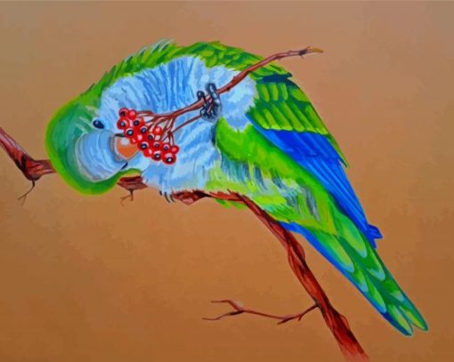 Quaker Parrot Bird Art Diamond Painting