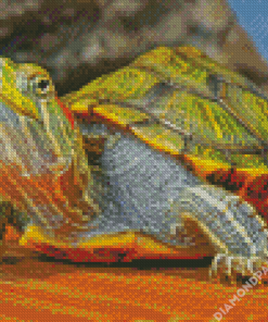 Red Eared Slider Turtle Diamond Painting