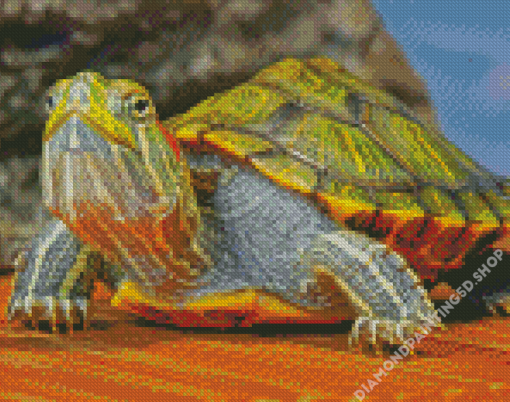 Red Eared Slider Turtle Diamond Painting