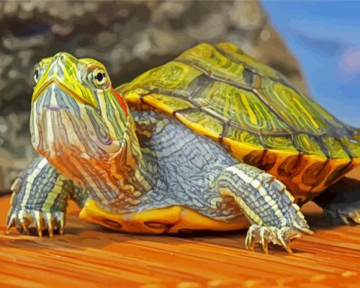 Red Eared Slider Turtle Diamond Painting