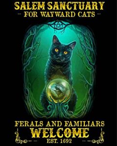 Salem Sanctuary For Wayward Cats Diamond Painting