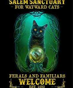 Salem Sanctuary For Wayward Cats Diamond Painting