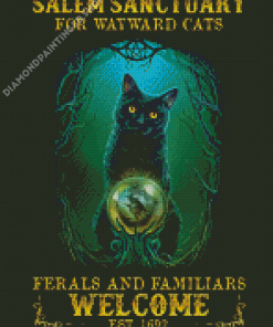 Salem Sanctuary For Wayward Cats Diamond Painting