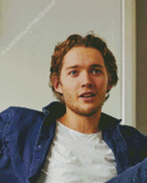 Toby Regbo Diamond Painting