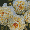 White Peonies Diamond Painting