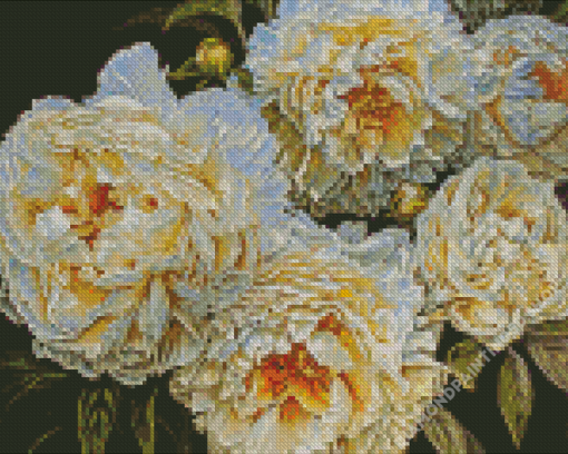 White Peonies Diamond Painting