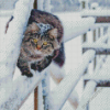 Winter Cat Diamond Painting