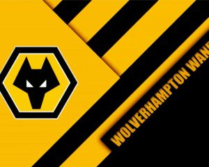 WWFC Logo Diamond Painting