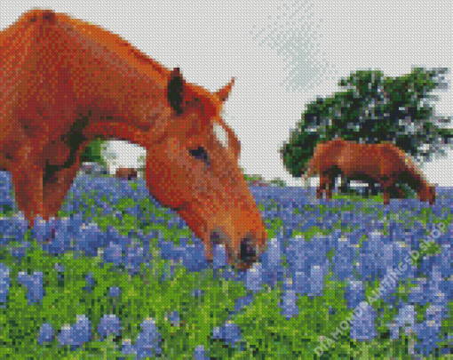 Aesthetic Bluebonnets And Horse Diamond Painting