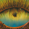 Aesthetic Lake Eyes Art Diamond Painting