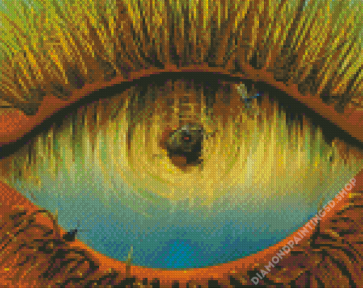 Aesthetic Lake Eyes Art Diamond Painting