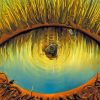 Aesthetic Lake Eyes Art Diamond Painting